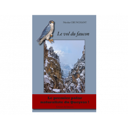 Le vol du faucon