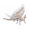 Papillon 3D