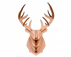 Puzzle cerf 3D