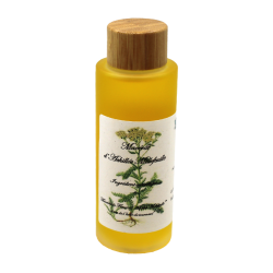 Macérât d' Achillée millefeuille