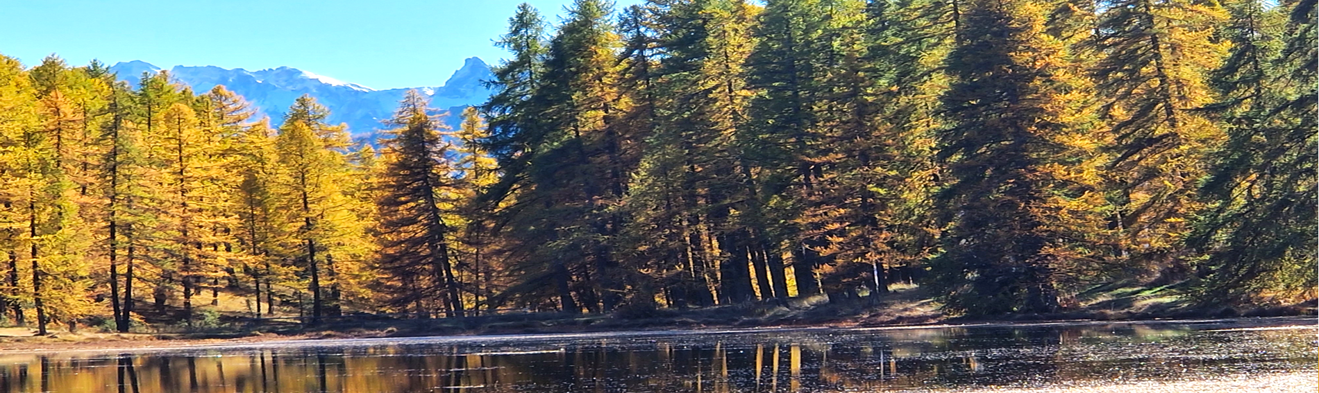 L'été des artisans